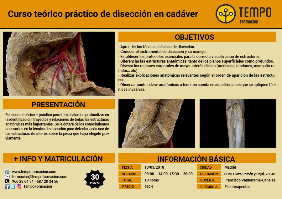 Curso teórico práctico de disección en cadáver Curso teórico práctico de disección en cadáver