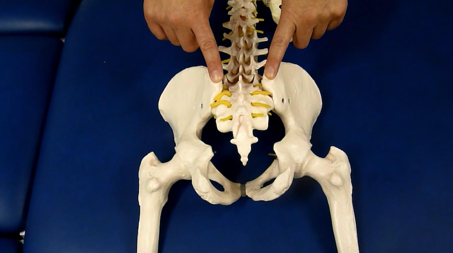 MASTER OSTEOPATIA ESTRUCTURAL ICOMED MASTER OSTEOPATIA ESTRUCTURAL ICOMED