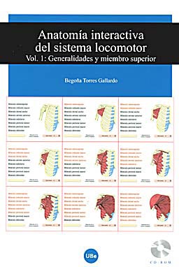 Sitio desconectado en mantenimiento