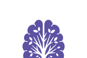 5sentidos | Centro de neurorrehabilitación Alhaurín