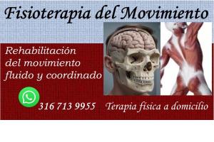 Fisioterapia del Movimiento Parkinson Guillain barré Trombosis Accidente cerebro vascular ACV Alzheimer Esclerosis múltiple Terapia física Fisioterapeutas a domicilio Bogotá Estiramiento muscular Rehabilitación neurológica  trauma craneo Columna vertebral