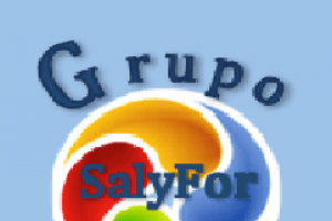 Grupo Salyfor