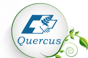 QUERCUS - Fisioterapia y osteopatía