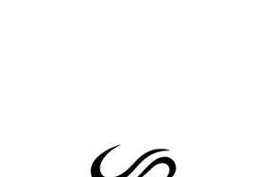 Lemniscata Fisioterapia