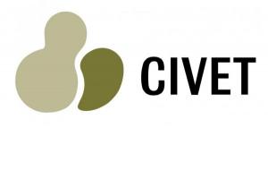 Civet (Centro Integral de Valoración y Educación Terapéutica de la Motricidad)