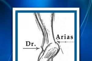 Therafisica  Fisioterapia  DR. ARIAS. ESPECIALIDAD EN MEDICINA DEL DEPORTE IPN