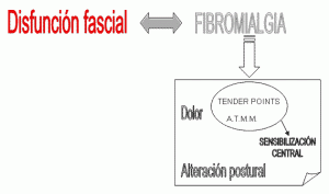 Esquema diagnóstico en base al modelo fascial