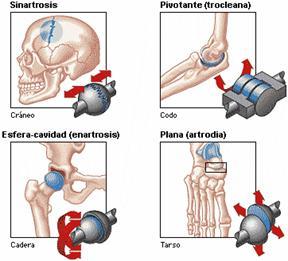 Conceptos de terapia manual ortopédica