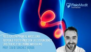REEDUCACIÓN PERINEAL MASCULINA: Abordaje manual en las disfunciones urológicas y del periné masculino