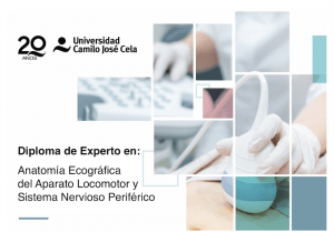 Diploma de Experto en Anatomía Ecográfica del Aparato Locomotor y Sistema Nervioso Periférico - 2ª Edición