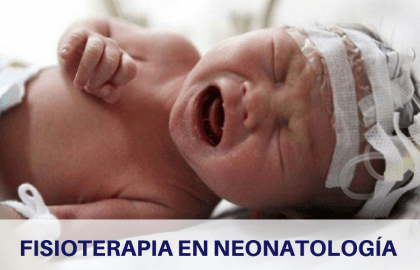 Curso online Fisioterapia en Neonatología