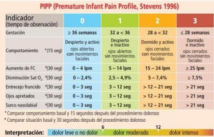 El papel del fisioterapeuta en el manejo del dolor en el recién nacido ingresado en las unidades neonatales