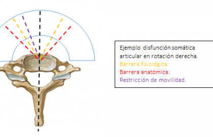 Lesión osteopática y disfunción somática.