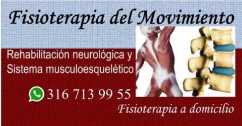 Fisioterapia del Movimiento Terapia física Fisioterapeutas a domicilio Bogotá