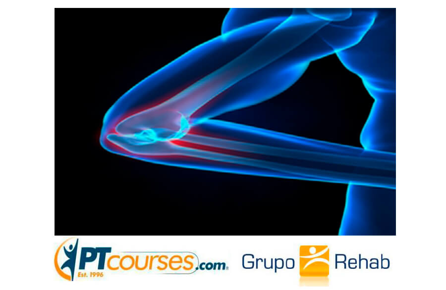 Fisioterapia en las Tendinopatías del Codo -Epicondilitis Lateral y Medial Fisioterapia en las Tendinopatías del Codo -Epicondilitis Lateral y Medial