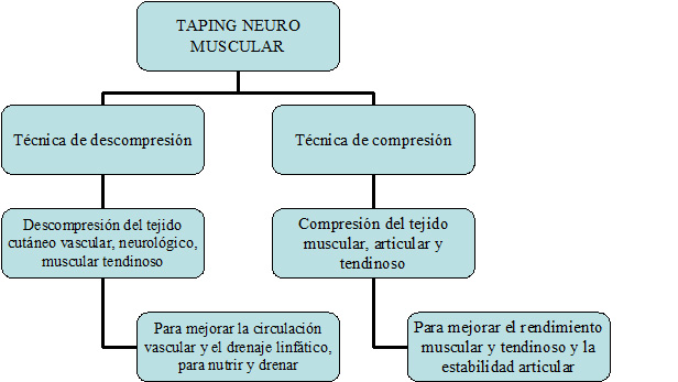 Características VNM