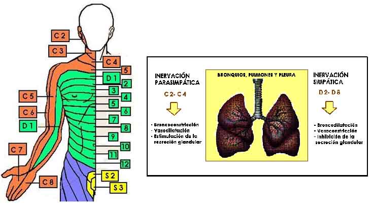 fig 1 y 2