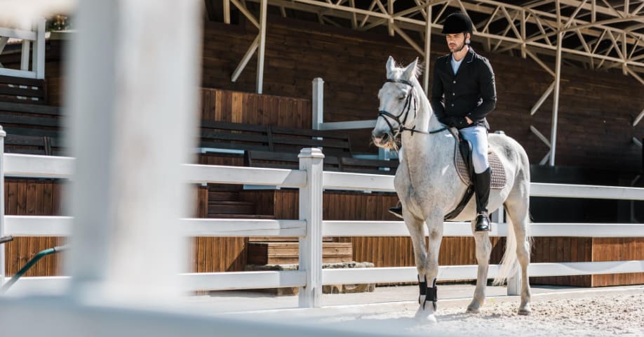 Situaciones para usar magnetoterapia en caballos