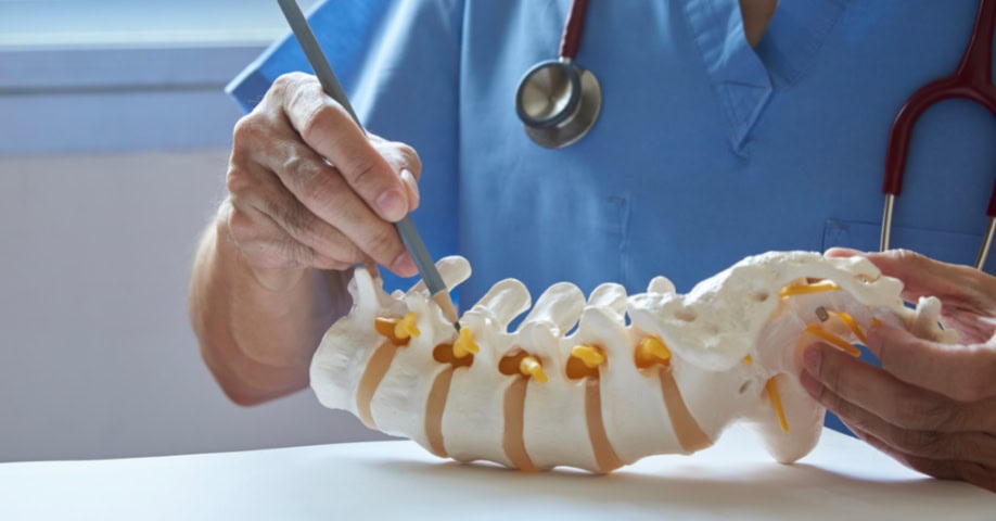 Modelo de columna lumbar