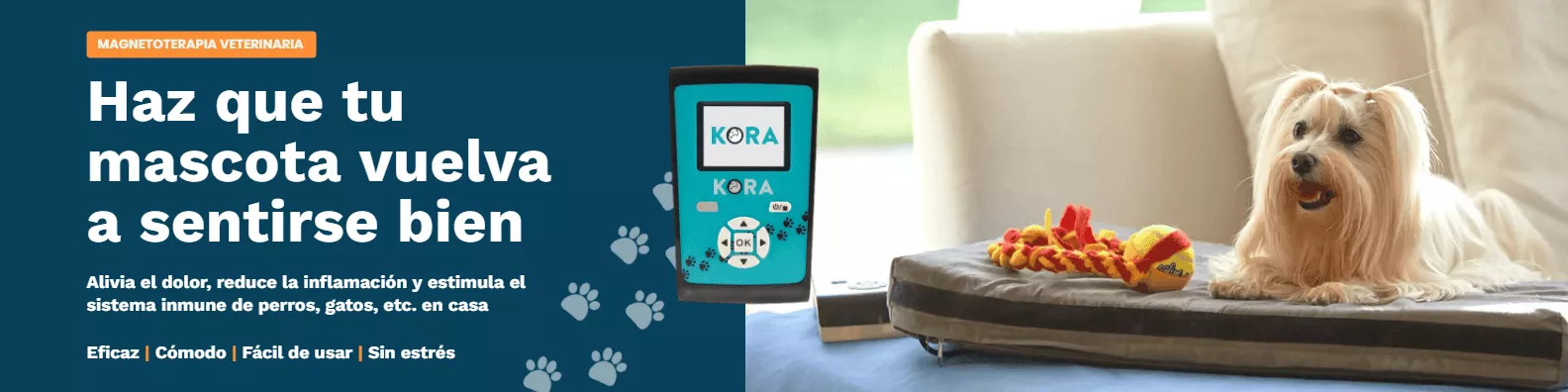 Equipo de magnetoterapia veterinaria KORA Kit Base