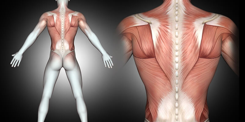 Magnetoterapia para el tratamiento de las calcificaciones tendinosas